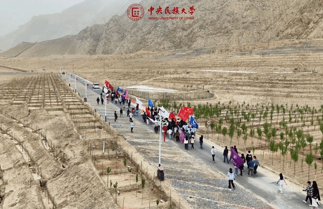 民大人春季社会实践的“现场直拍”